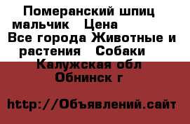 Померанский шпиц, мальчик › Цена ­ 35 000 - Все города Животные и растения » Собаки   . Калужская обл.,Обнинск г.